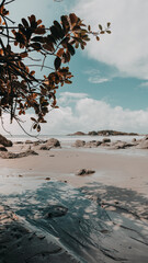 Beautiful empty beach with its preserved vegetation