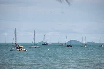 Wall Mural - View of the yachts moored at Airlie Beach in Queensland Australia