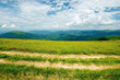 © Pellinni - country road through alpine meadow of carpathian mountain. beautiful nature landscape in summer. scenery with open view in to the distant ridge and valley. wonderful sky with clouds above the horizon