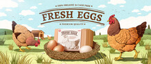 Engraving Farm Egg Ad Background