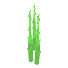 Wall Mural - Asparagus organic icon. Isometric of Asparagus organic vector icon for web design isolated on white background