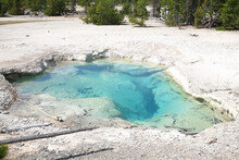 Hot Spring In Yellowstone National Park, Wyoming, USA