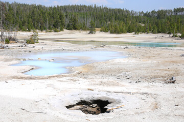 Wall Mural - Yellowstone National Park in Wyoming, USA