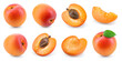 Apricot isolated. Apricots on white. Whole, half, slice apricots with leaf. Apricot set. Full depth of field.