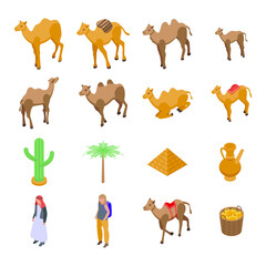 Wall Mural - Camel icons set. Isometric set of camel vector icons for web design isolated on white background