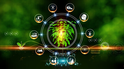 Agriculture and technology concept. Green environment with Center and spoke Concept ,Plant on center and rotating Icons