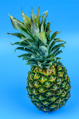 Wall Mural - Whole ripe pineapple on the blue background