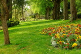Fototapeta Kwiaty - Jardin de la Perrine ( Laval)