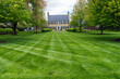 © kosoff - freshly mown lawn on the lawn of the house