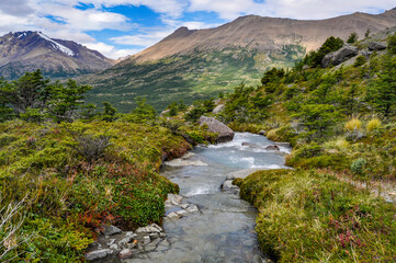 mountain river in the mountains