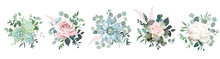 Green Colorful Succulent Bouquets Vector Design Objects.