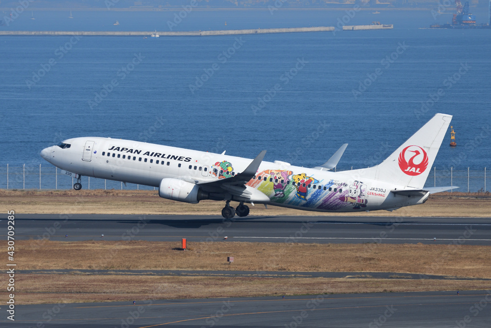Sprung Airlines Japan B737-800 JA036R Spring Japan Flight