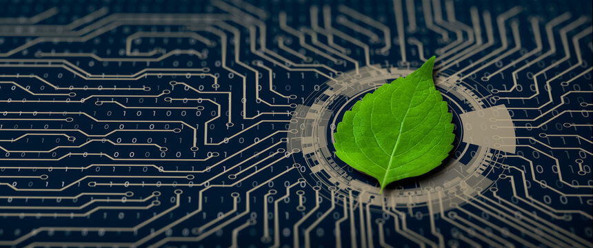 Wall Mural -  - Green leaf on the converging point of computer circuit board. Nature with Digital Convergence and Technological Convergence. Green Computing, Green Technology, Green IT, csr, and IT ethics Concept.