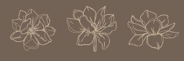 Wall Mural - botanical floristic set contour flowers peonies open buds . Vector isolated minimalistic  flowers