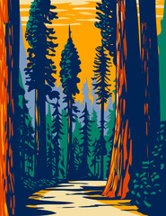 wpa poster art of the simpson-reed grove of coast redwoods located in jedediah smith state park part