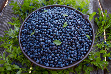 Wall Mural - wild blueberries on rustic wooden surface