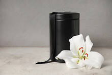 Mortuary Urn And Lily Flower On Light Background