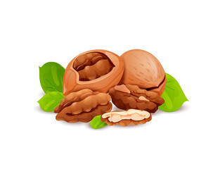 Poster - Pecan nut composition, good for label and sticker