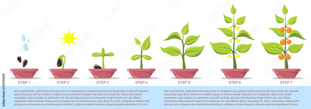 levitating plant pot Lyfe – Levitating Planter by Flyte main image 1