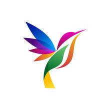 Abstract Colorful Hummingbird Colibri Bird Logo Line Outline Monoline Vector Icon Illustration
