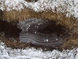 Zamarznięta kałuża pokryta cienką warstwą lodu