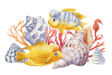 Yellow Fish And Shells On An Isolated White Background. Watercolor Illustration, Marine Design, Postcards.