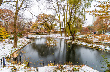 Wall Mural - Lincoln Park of Chicago City view in winter