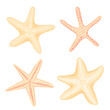 © Iryna - Hand drawn Starfish set, flat cartoon style. Aquarium fauna, reef habitats marine icon. Summer nature ocean aquatic underwater vector illustration for graphic design, web site. Sticker collection.