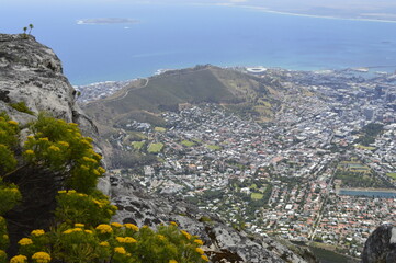 Cape Town city from above in the summer