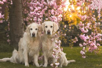 Frühling