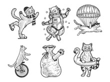 Cat Set Sketch Engraving Vector Illustration. T-shirt Apparel Print Design. Scratch Board Imitation. Black And White Hand Drawn Image.