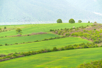 Green farm fields at the foot of mountains