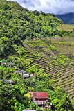 Fototapeta  - Batad Philippines - rice terrace landscape