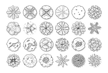 hand drawn vector set of top view tree isolated on white background.
