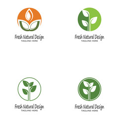 Mint leaves flat vector color icon template illustration design