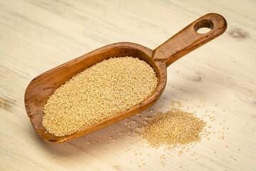 Poster - gluten free amaranth grain on a rustic wooden scoop against distressed wood background