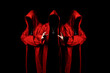 Mystery three sectarians in a red hooded cloaks in the dark. Unrecognizable person. Hiding face in shadow. Conspiracy concept.
