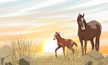 A Brown Horse With A White Spot And Its Foal Are Walking Along A Desert Rocky Area With Stones And Dry Grass. Sunset In The Steppe. Equus Ferus Caballus. Realistic Vector Landscape.