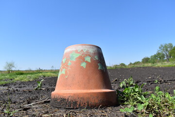 Poster - Clay Pot