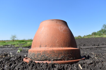 Sticker - Clay Pot in a Garden