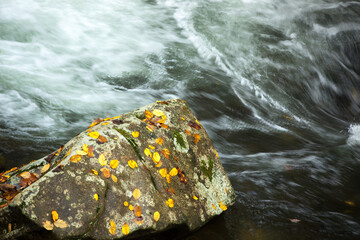 Stream cascading over rocks.