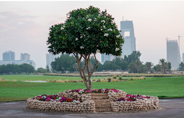 Doha golf club entrance in Qatar with the background of Doha skyline.