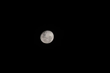 Wall Mural - full moon in the night sky