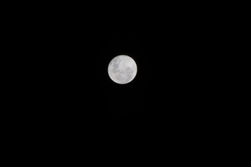 Wall Mural - full moon in the night sky