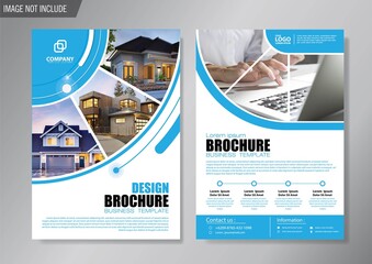 Business Flyer design template 