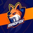 fox mascot for e-sport logo designs for gaming team