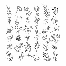 Set Of Branches And Herbs In Style Of Doodles. Flowers And Plants Drawn With Contour Line .