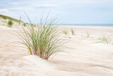 Fototapeta  - sand dunes in the sand