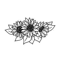 Wall Mural - Black and white sunflower botanical illustration.