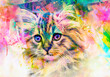 cat head with creative colorful abstract elements on light background